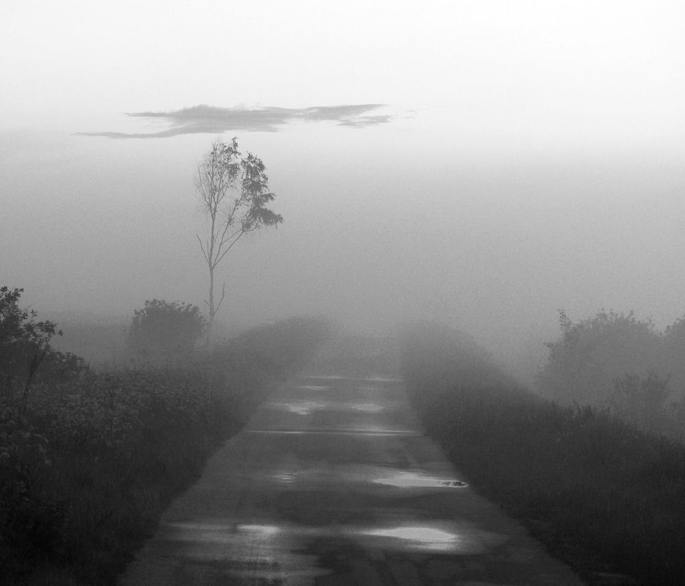 Photograph by Дмитрий Ткаченко