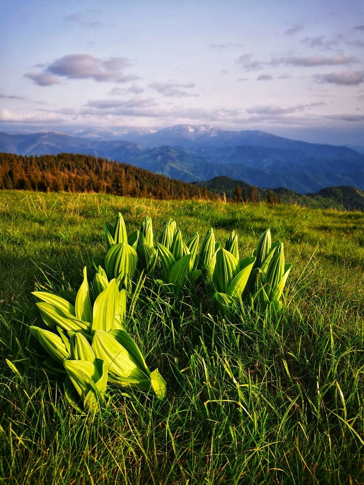 Фотография автора Uljana Kuchar