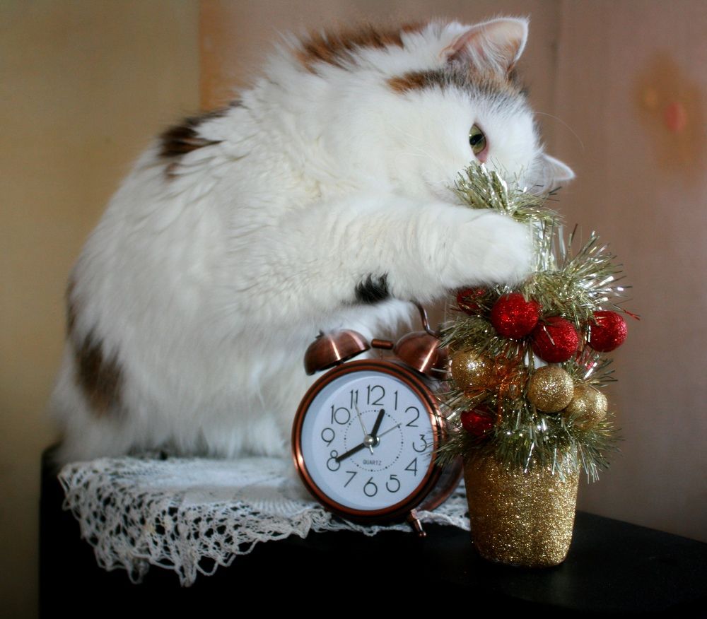 Photograph by Татьяна Кунц