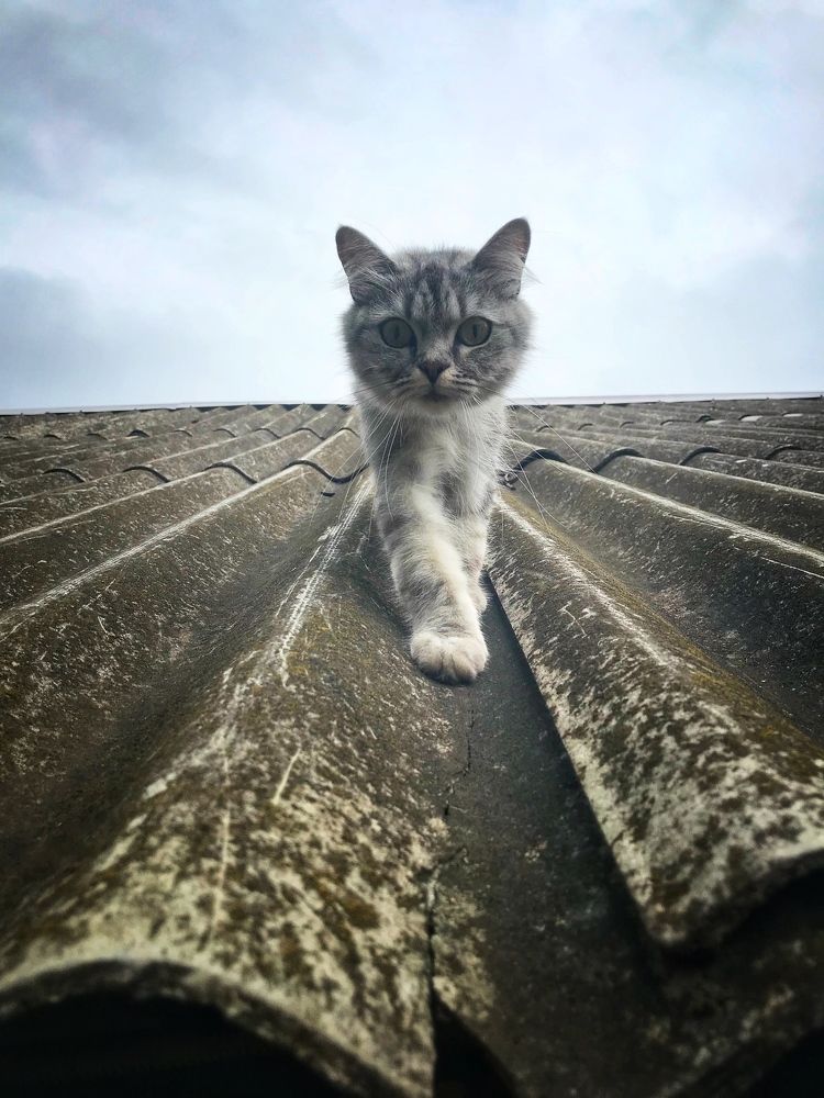 Photograph by Артемий