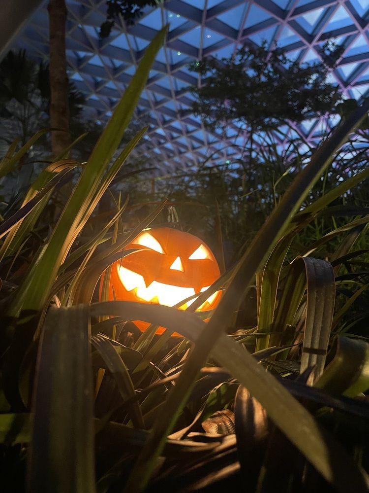 Photograph by DONG HAN CHIM