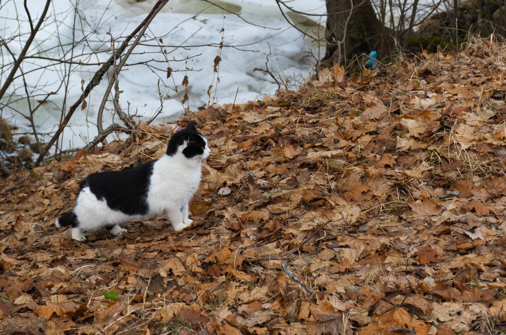 Photograph by Денис Якунов