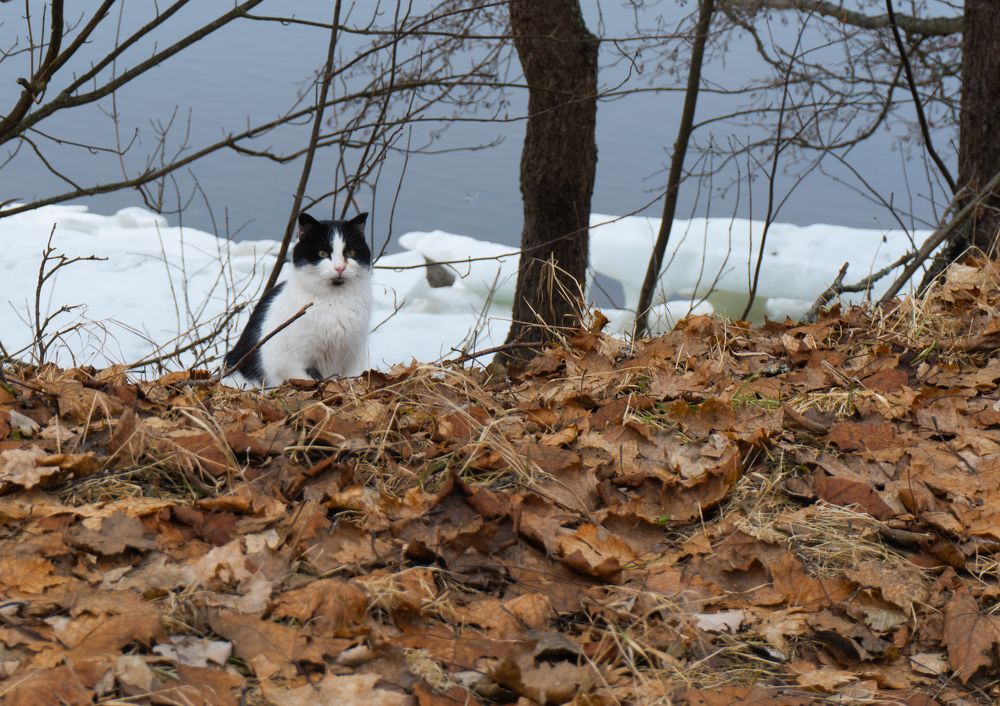 Photograph by Денис Якунов