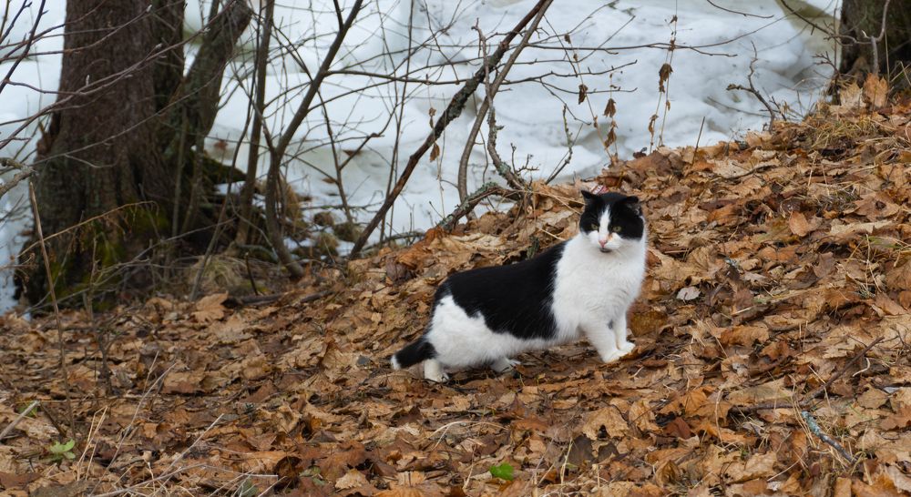 Photograph by Денис Якунов