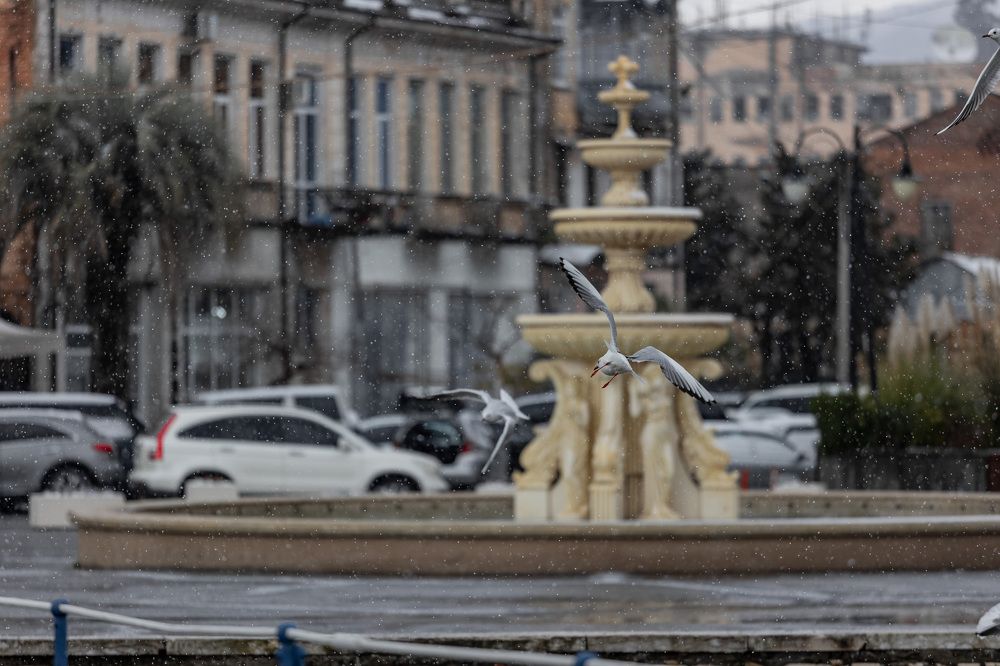 Фотография автора Fallen Angel