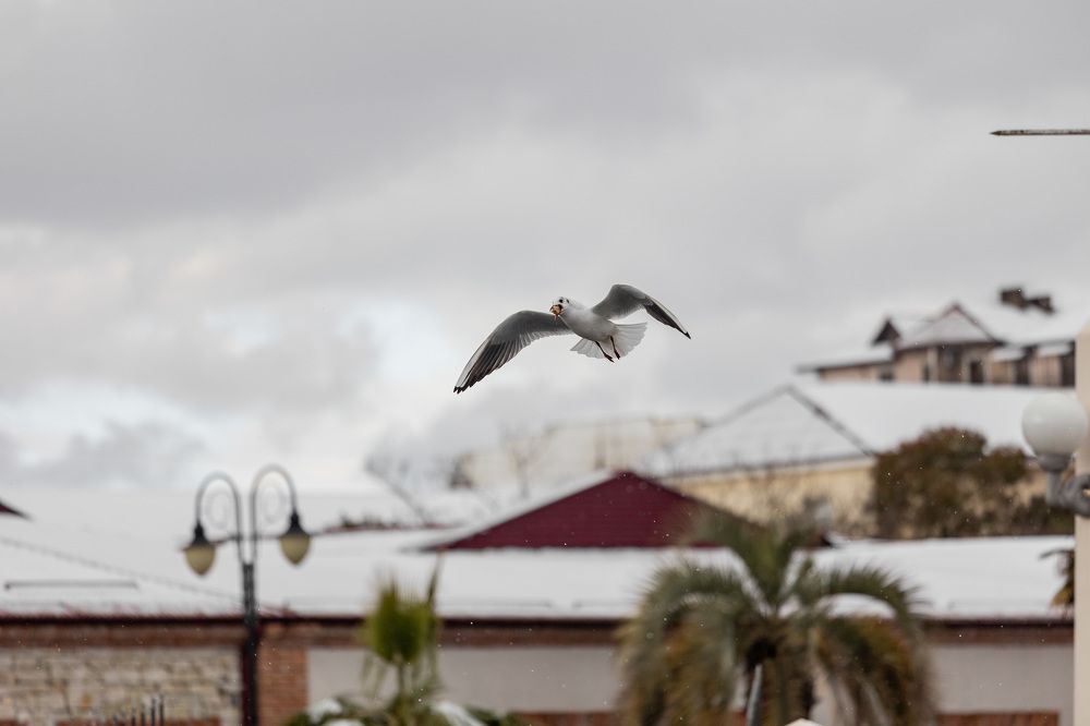 Фотография автора Fallen Angel