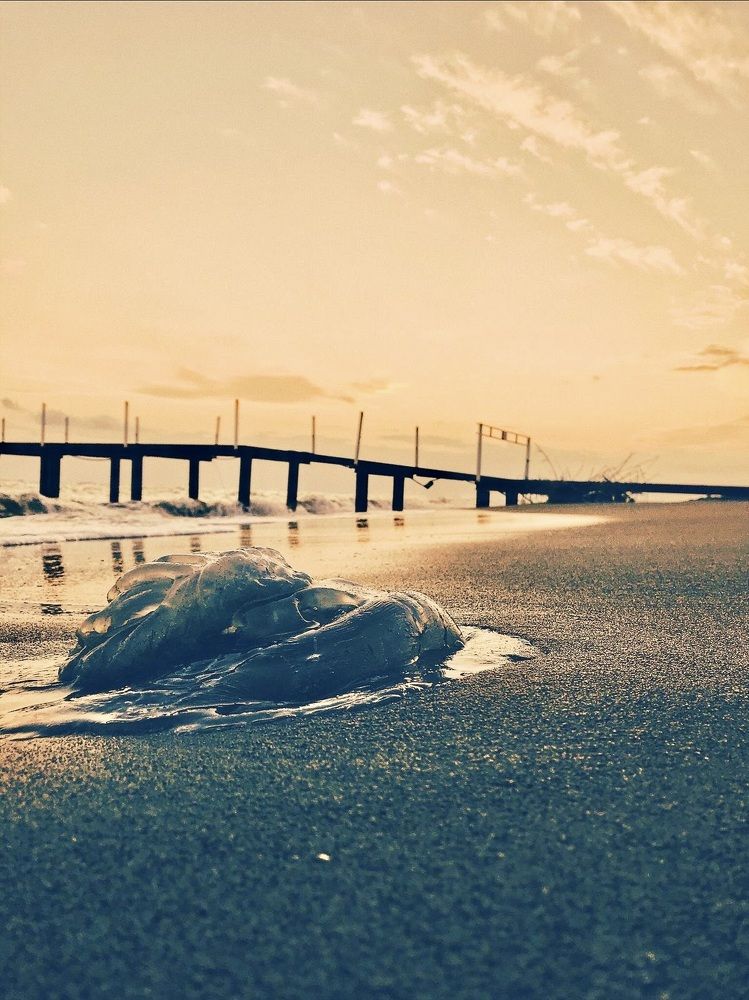 Photograph by Бойко Сергей