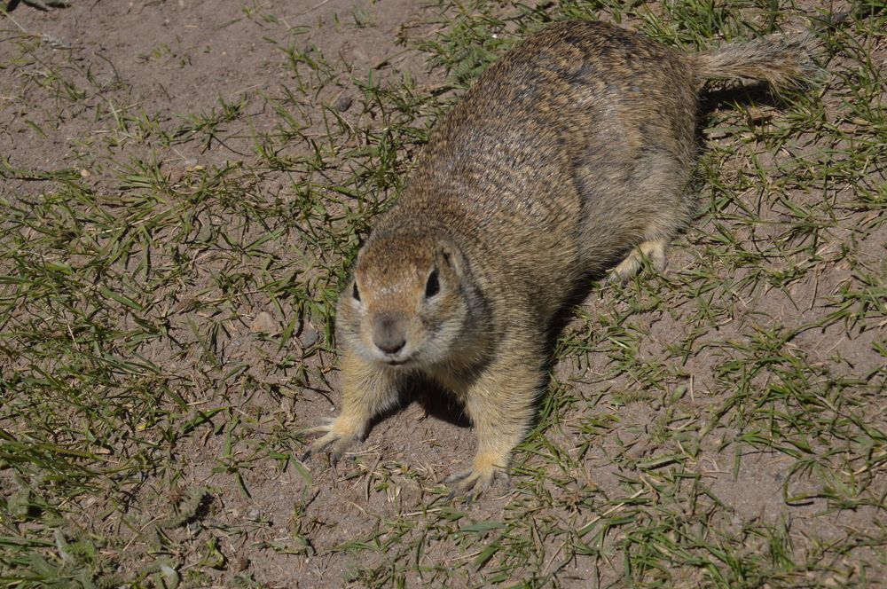 Photograph by Ольга Шевцова