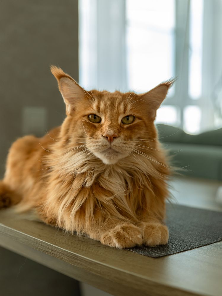 Photograph by Анастасия Улитко