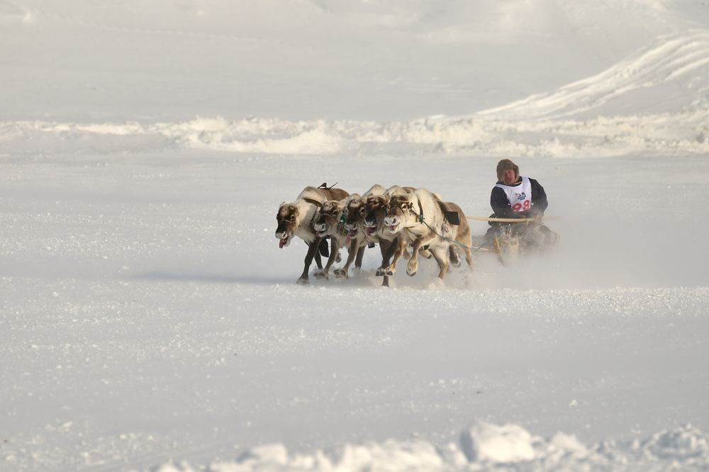 Плечом к плечу