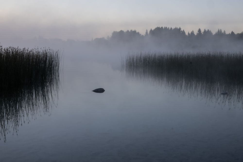 Photograph by Владимир