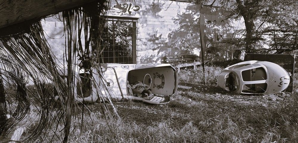 Photograph by Галина Горлицки