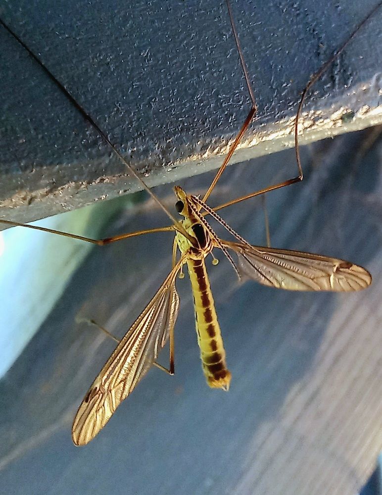 Photograph by Евгений Савулькин