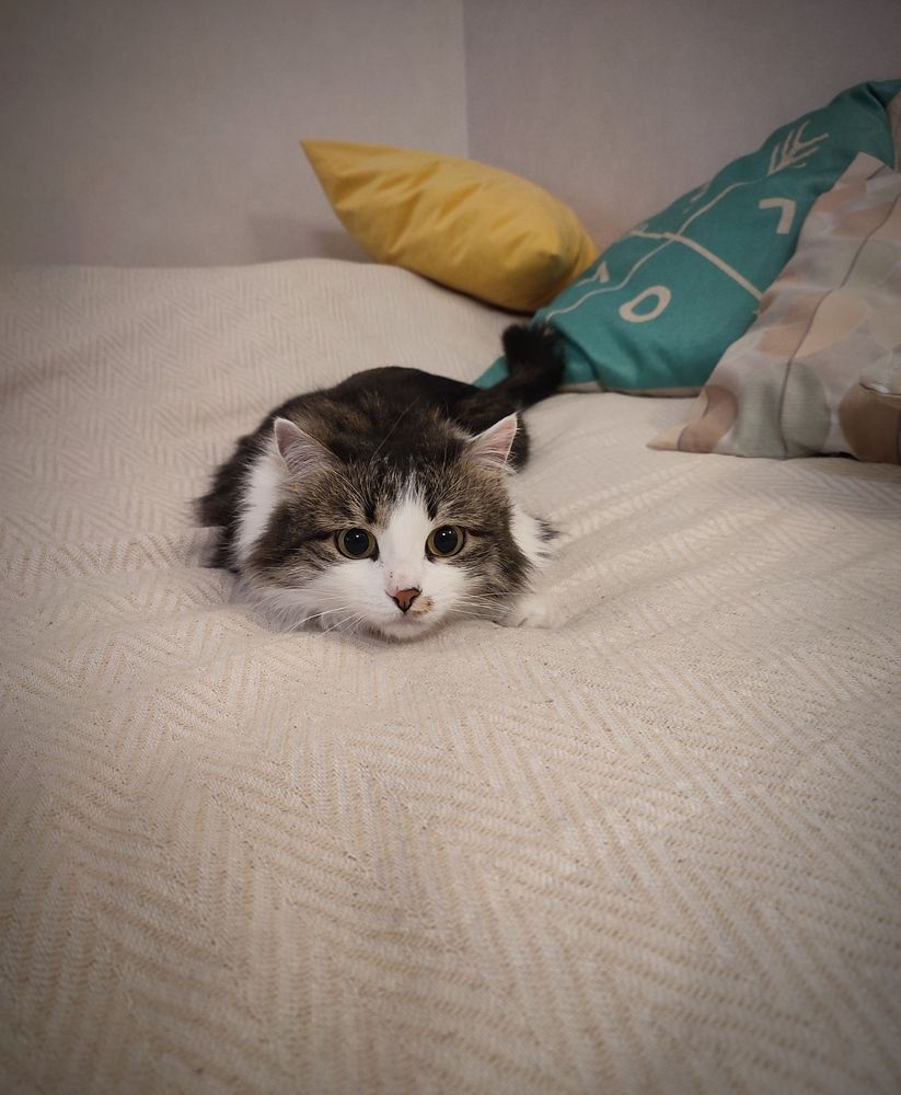 Photograph by Марина