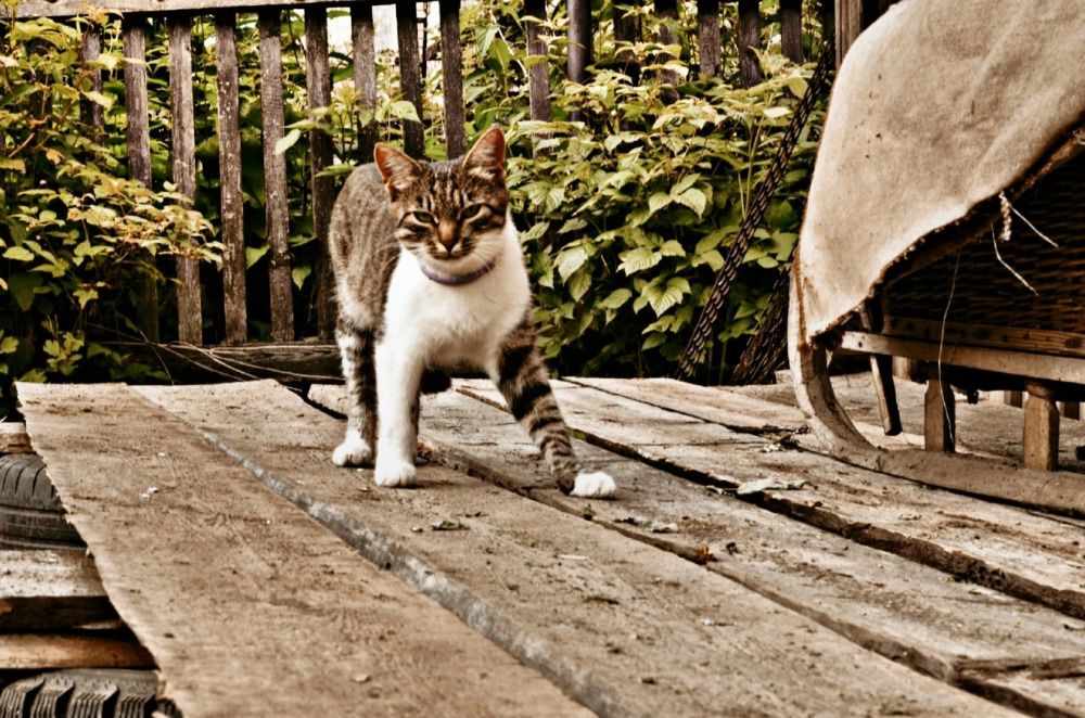 Photograph by Ксения Кушова