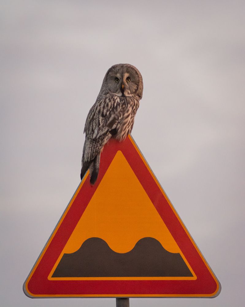 Photograph by Олег Бережных