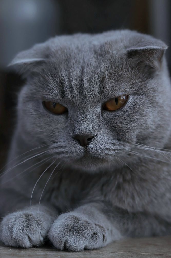 Photograph by Вася Кадочников