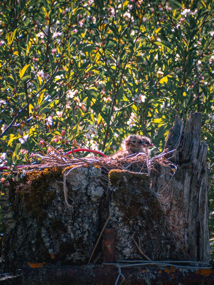 Photograph by Ольга Волкова