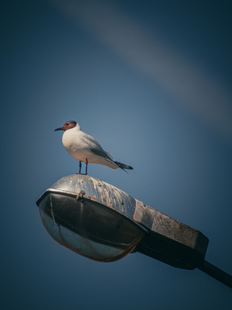 Photograph by Ольга Волкова