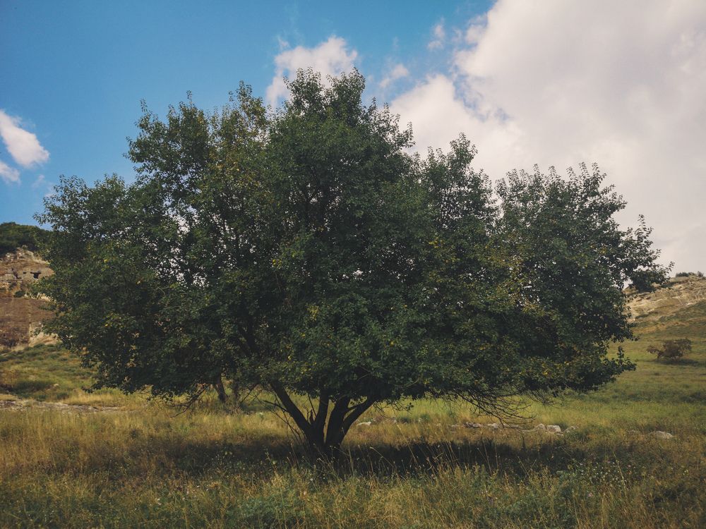 Photograph by Алексей Гуминский