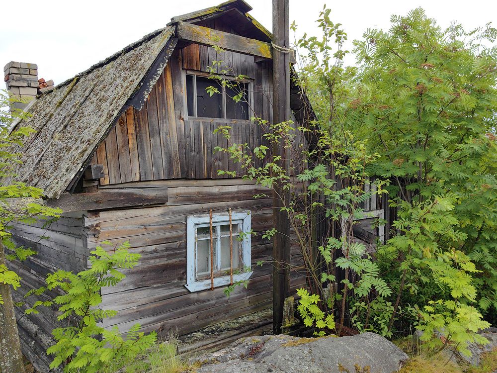 Photograph by Evgeniia Iakimenko