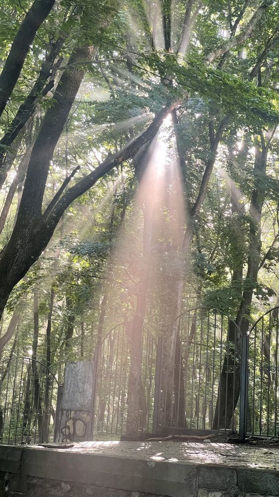 Photograph by Рузанна Гюрджян