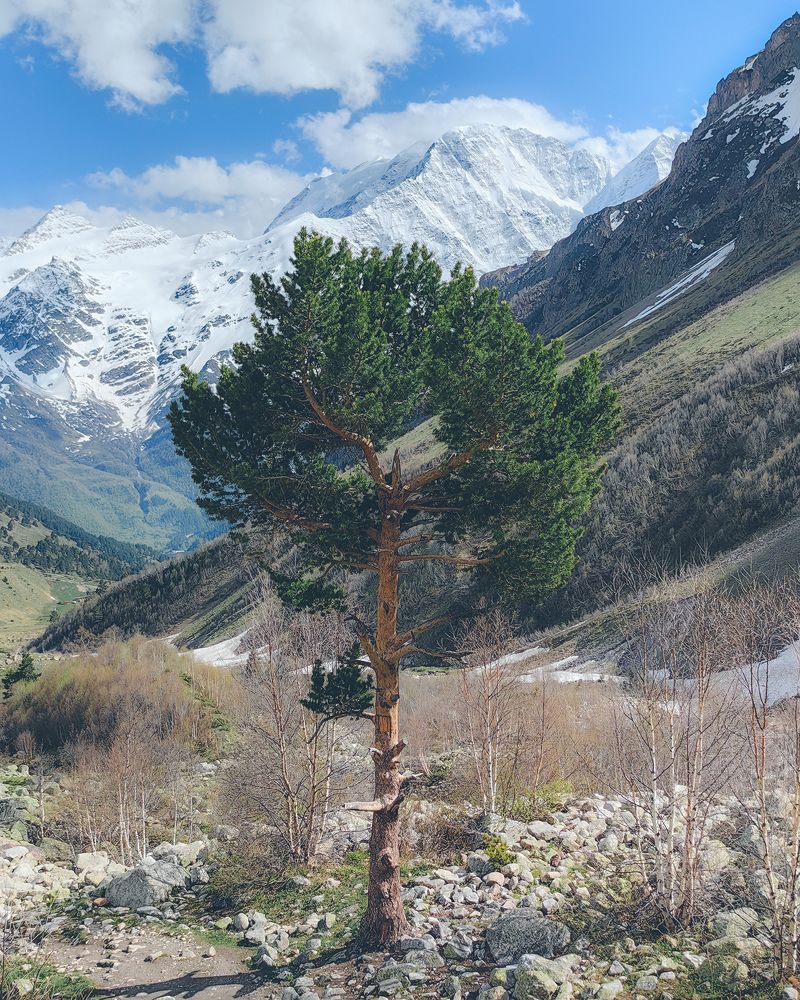 Photograph by Алексей Гуминский