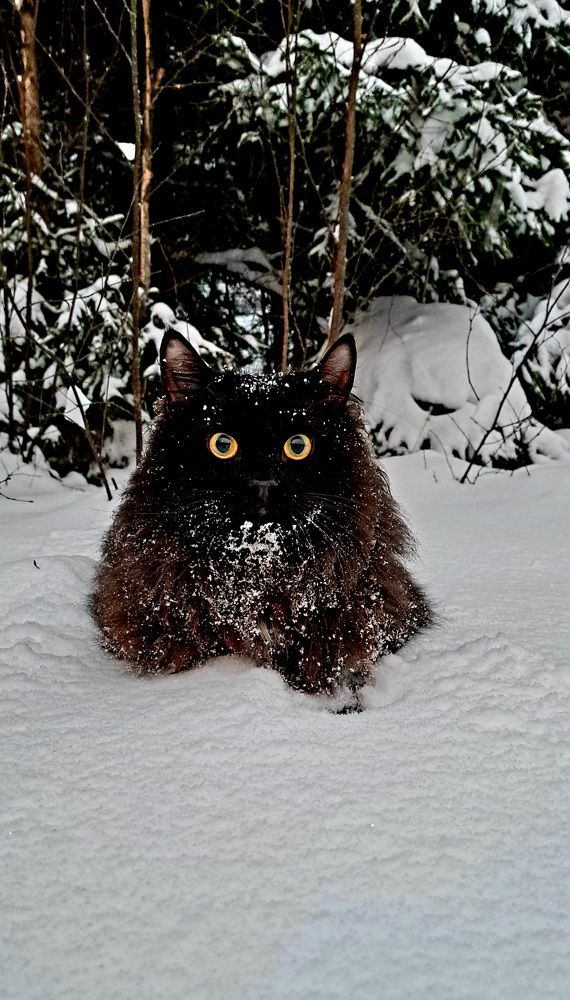 Photograph by Галина Перепечаева