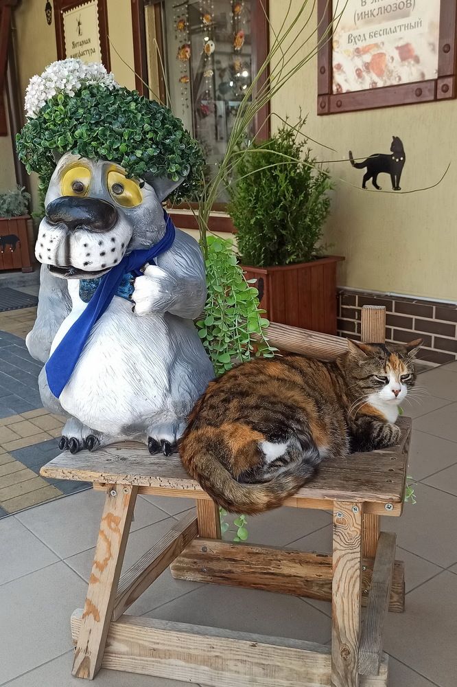 Выставочный экспонат.