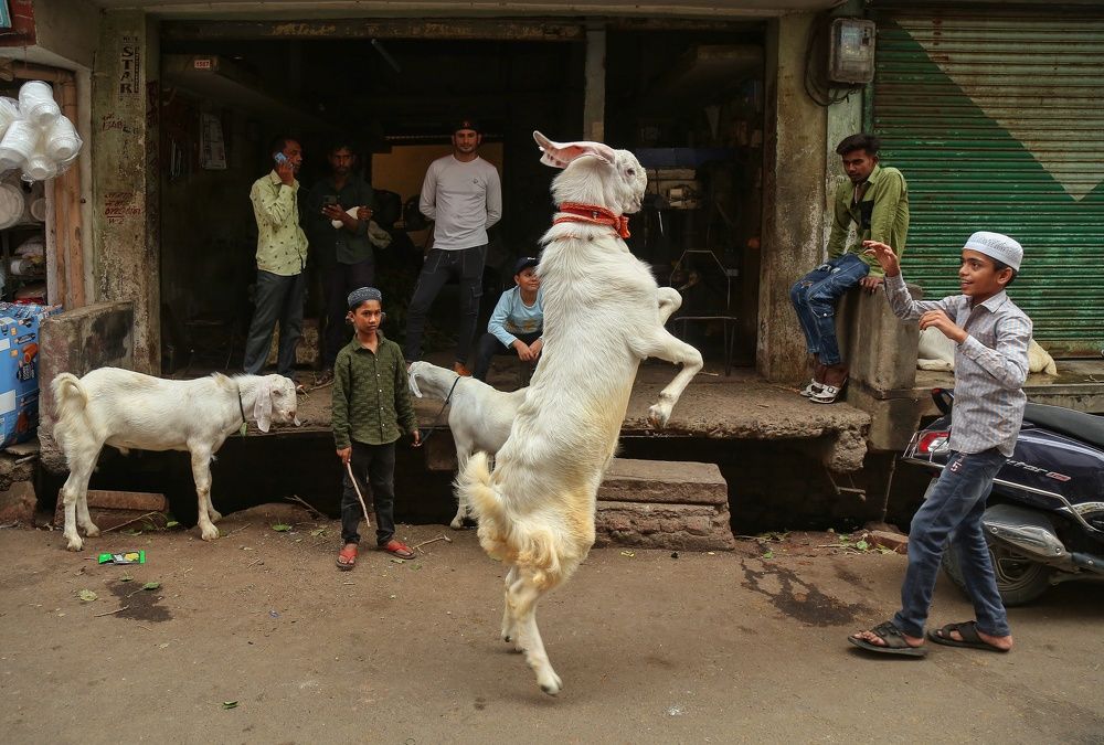 Фотография автора Mohammad Asif