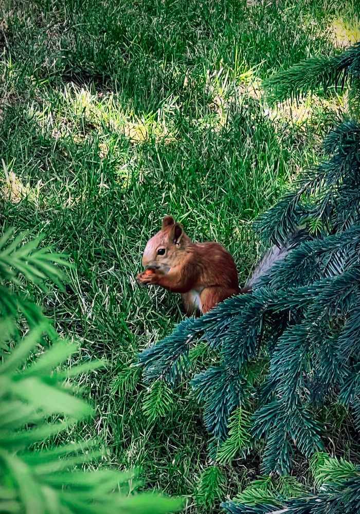 Photograph by Елена Громова