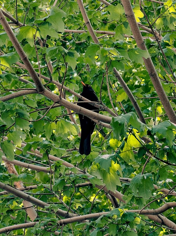 Photograph by Елена Громова