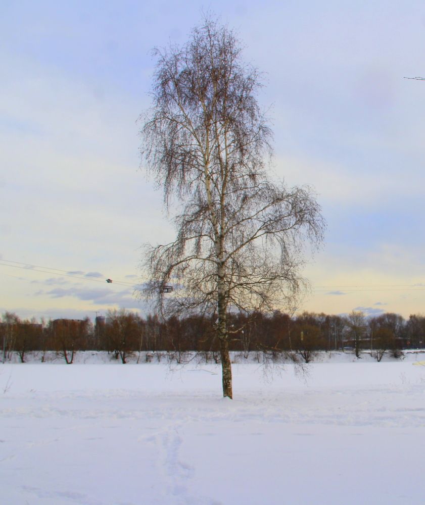 Photograph by Жанна Нечаева