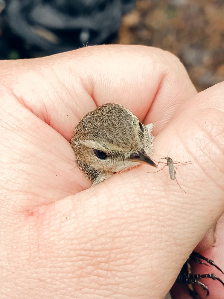 Photograph by Тарас