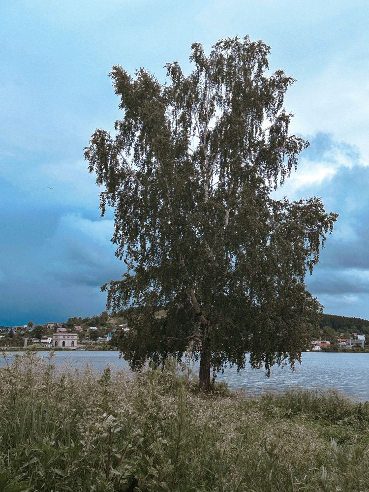 Photograph by Irina Kolotova