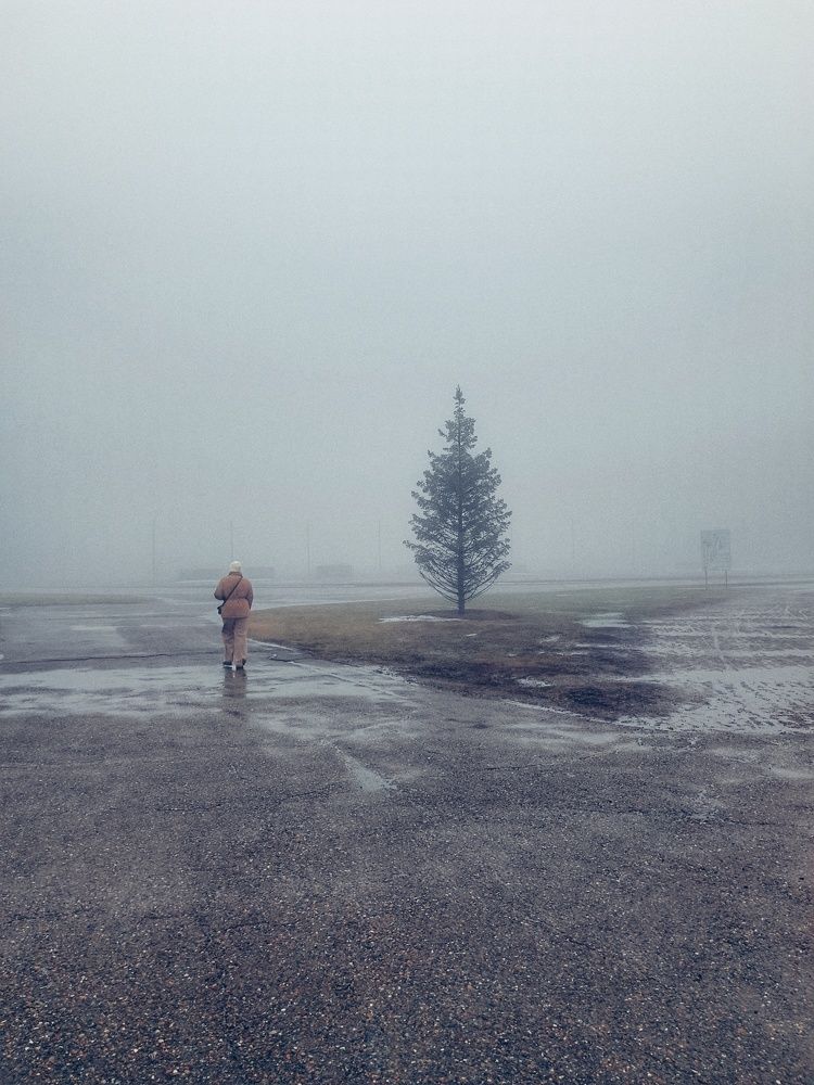 Photograph by Татьяна Cамсонова
