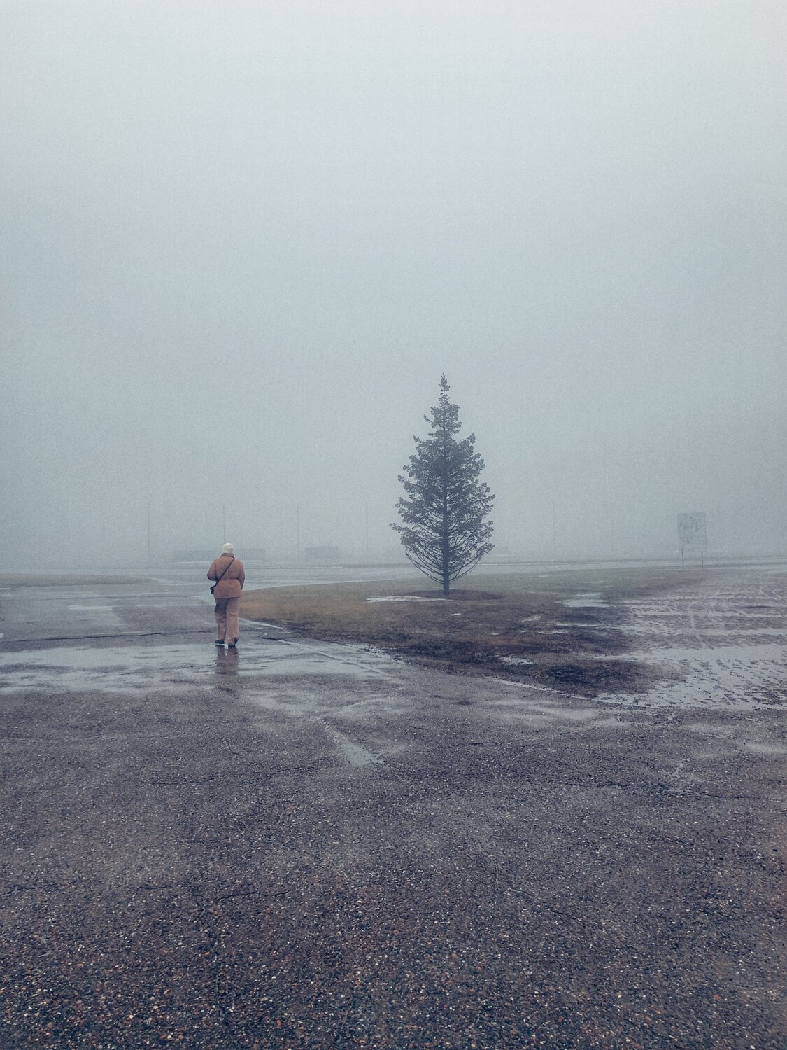 Photo #10764356