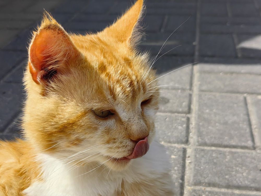 Photograph by Evgeniia Iakimenko