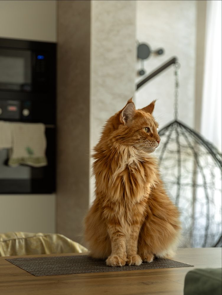 Photograph by Анастасия Улитко