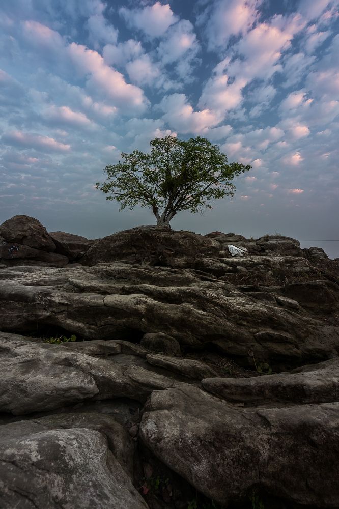 Фотография автора Puneet Verma