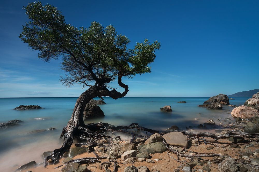 Photograph by Puneet Verma