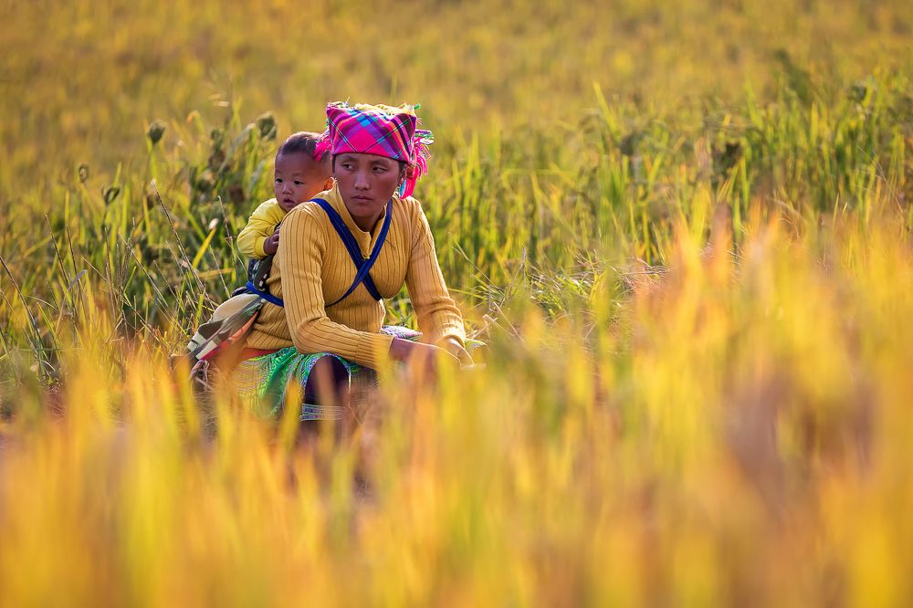 Фотография автора Puneet Verma