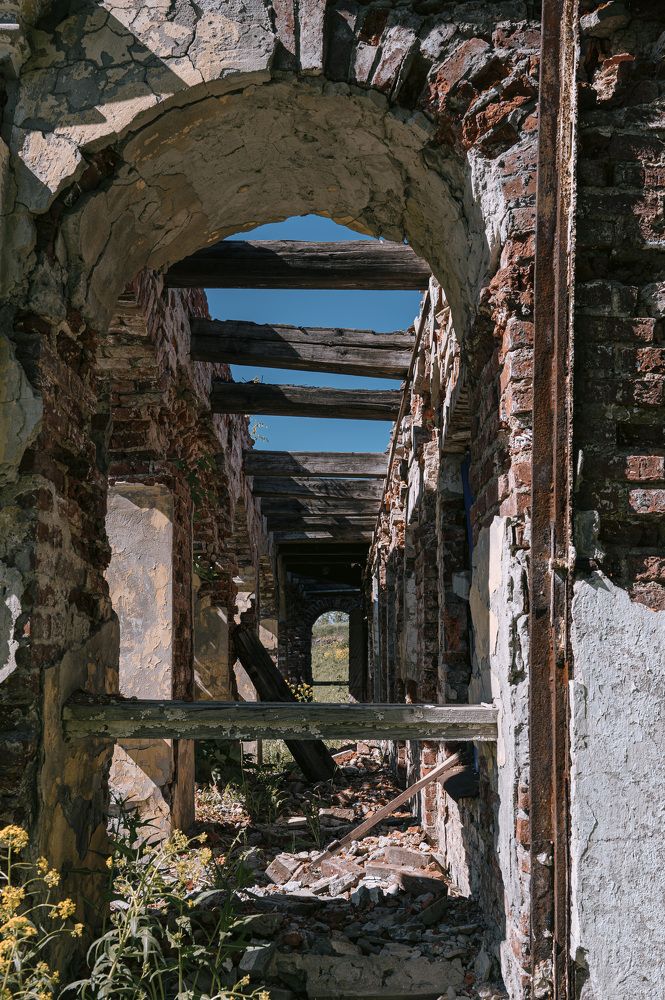 Photograph by Садилов Александр