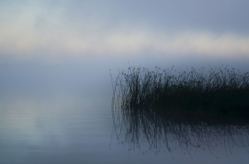 Photograph by Мария Бокова
