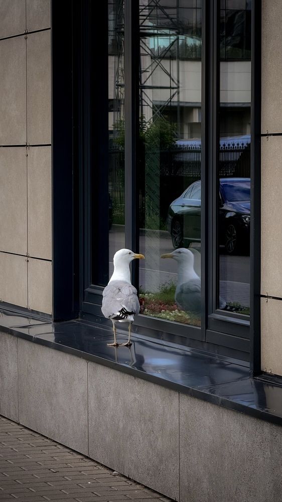 Photograph by Марина