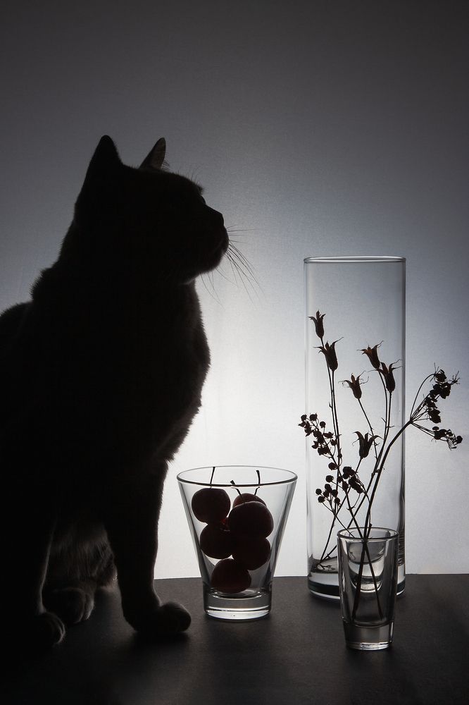 Photograph by Злата Лучина