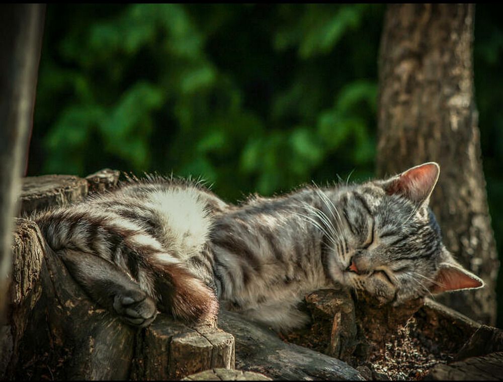 Photograph by m farzolahi