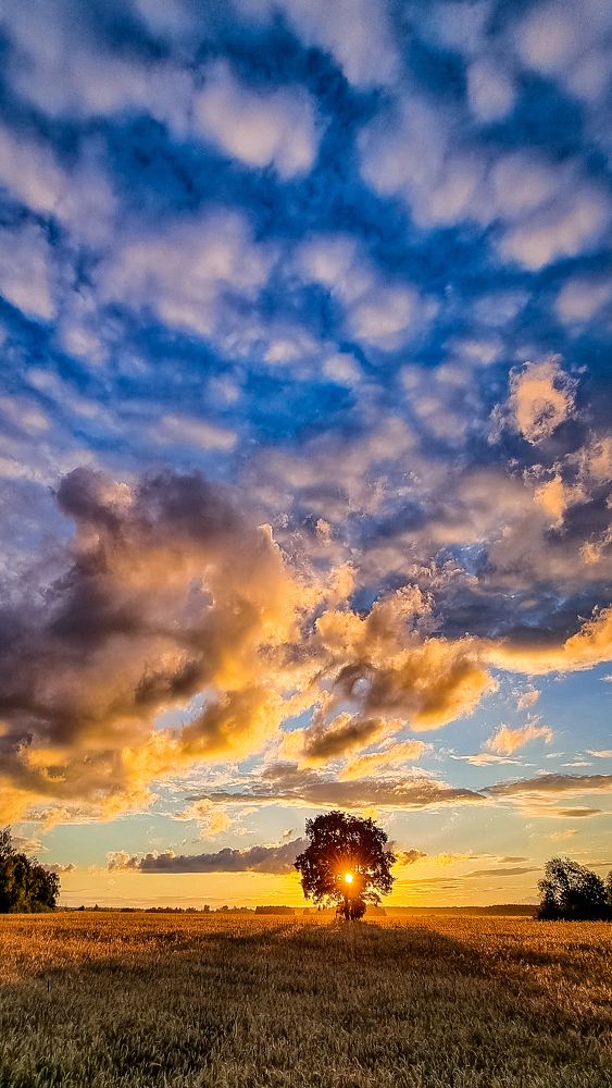 Photograph by Mantas Jancevicius