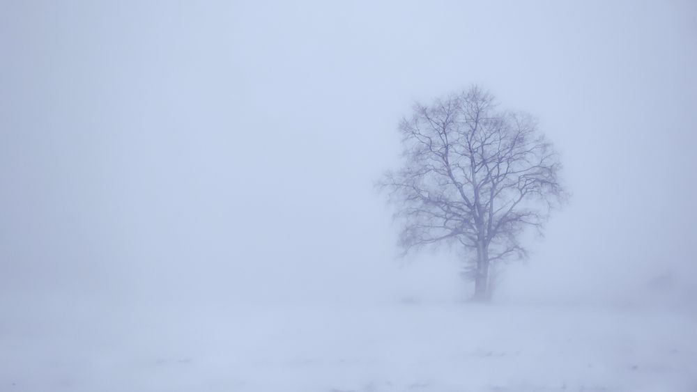 Photograph by Mantas Jancevicius