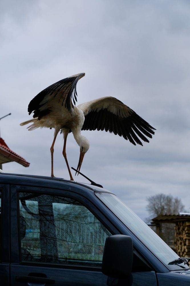 Photograph by Алексей Большаков